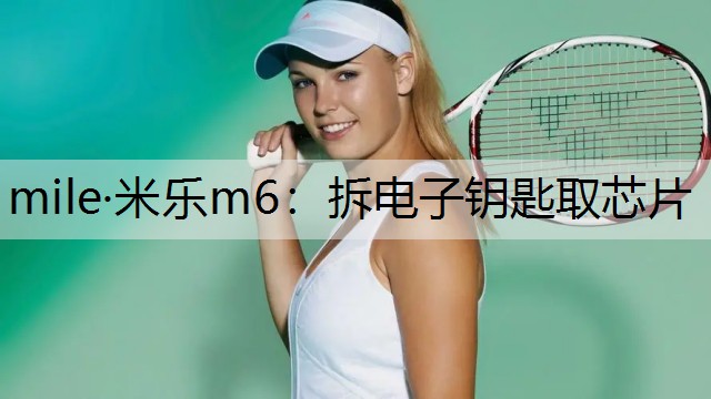 mile·米乐m6：拆电子钥匙取芯片