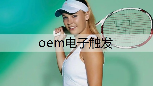 oem电子触发