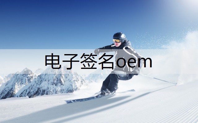 电子签名oem