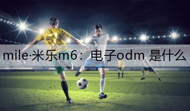 电子odm 是什么