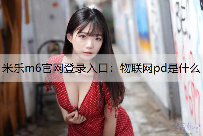 物联网pd是什么