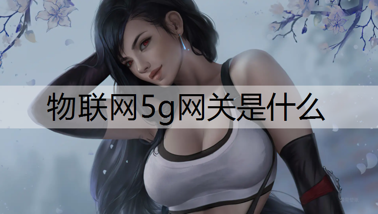 物联网5g网关是什么